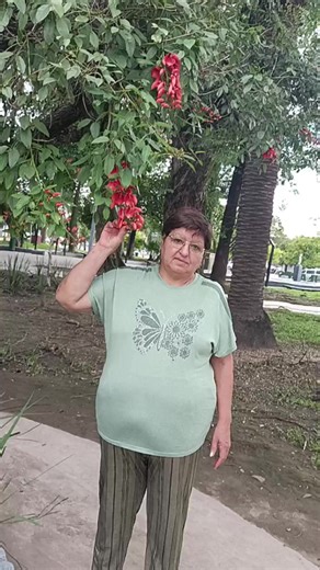 Bella mi Mamy@Arminda Robles