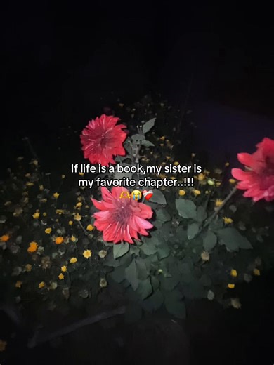 Sisters: The Best Chapters of Life's Book