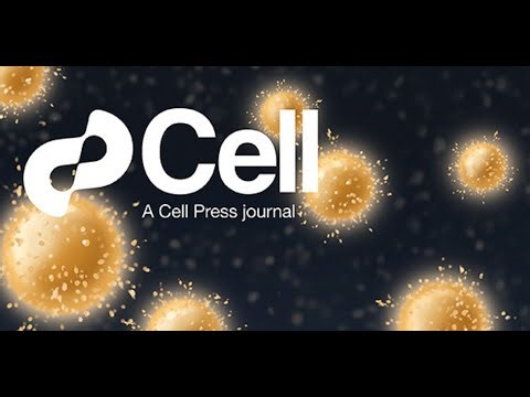 【中文导读】《Cell 细胞杂志》2025-10-02