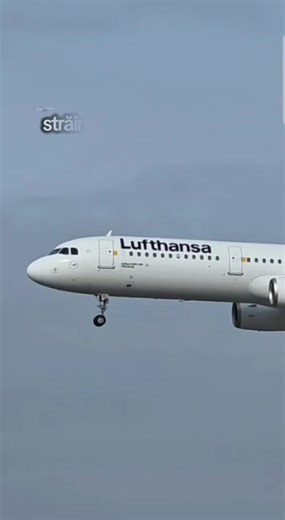 #strainatateaestegrea #flypシ #viralvideos