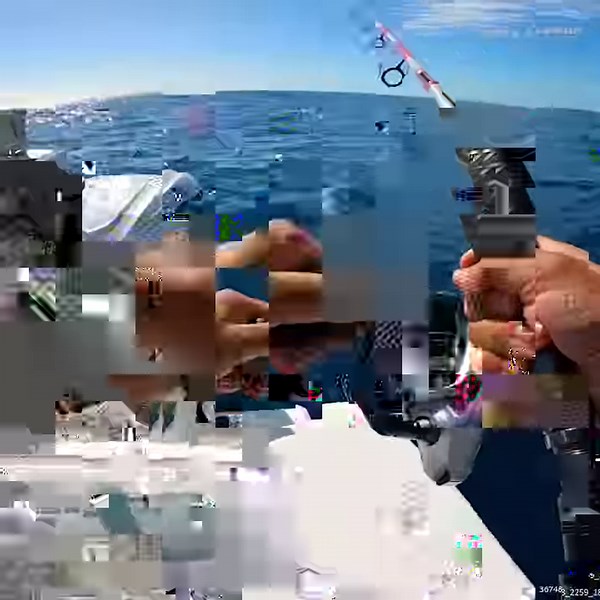 Catching an Entire SCHOOL of Fish #fishingdaily #yellowtail #snapper #yellowtailfish #schooloffish | South Florida Fishing Channel