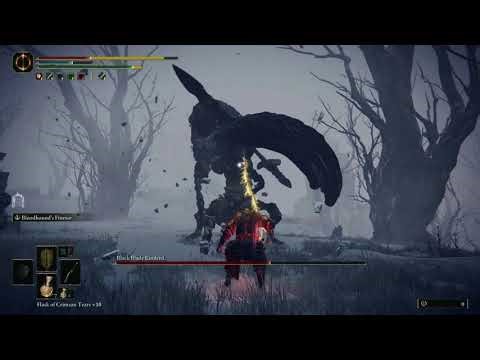 Elden Ring – Black Blade Kindred Boss Fight | Bestial Sanctum & Forbidden Lands