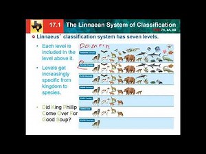 17.1: Linnaean system of classification