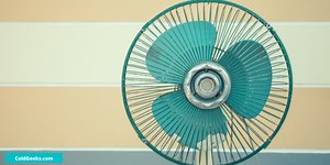 Is a Fan an Appliance? (Solved for Beginners) - Cold Geeks