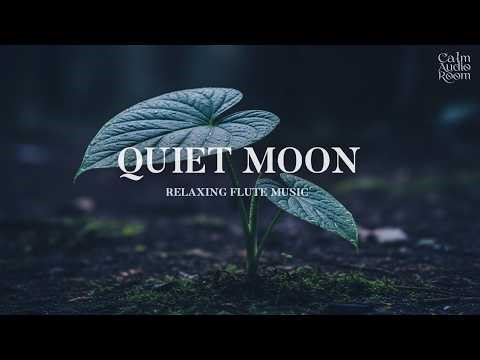 Beautiful Flute Sounds That Slow Your Mind and Help You Drift Off Naturally 😴✨