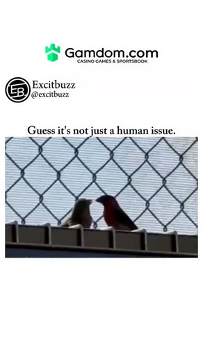 Excitbuzz on Instagram: "Birds are basically living time machines, carrying a 150-million-year legacy from theropod dinosaurs straight into our skies. Fossils like Archaeopteryx show how feathers first evolved—not for flight at first, but for warmth, display, and maybe showing off a little—before being co-opted for air domination. Over millions of years, they spread everywhere: jungles, deserts, polar ice, oceans—you name it. Size, beak shape, wings, and behavior all evolved to match their envir
