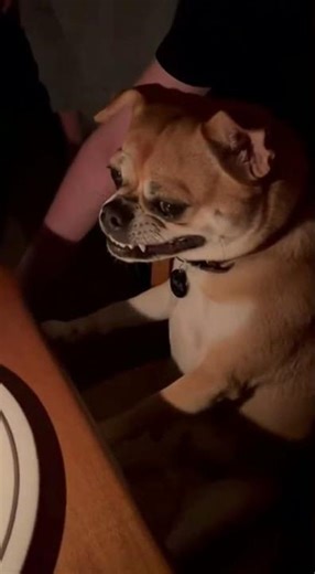 POV it’s your birthday and you have to sit there while people sing