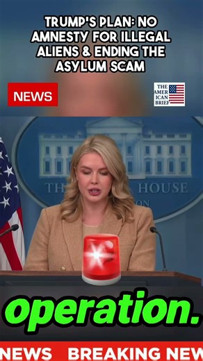 Trump's Plan: No Amnesty for Illegal Aliens & Ending the Asylum Scam #news 🇺🇸