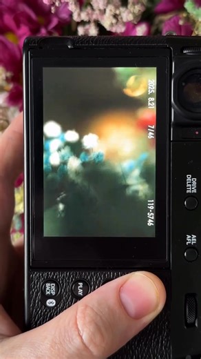 🌷Trasforma l’ordinario in straordinario con Fujifilm X100VI. Thanks to @clicks_with_alex #x100vi #fujifilm #mirrorlesscamera #flowerphotography #ordinary | Fujifilm Italia