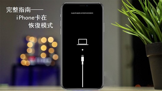 解決 iPhone 卡在復原/恢復模式中問題的完整指南 | [ support.apple.com/iphone/restore ]修復