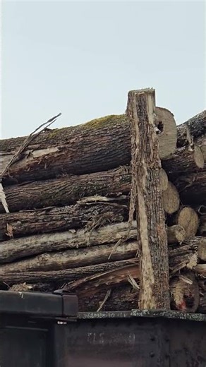 Pulpwood STACKED High On Gondola! How Far Will It Make It?