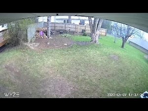 40 seconds of video shows the strength of Monday's storm in Minnesota