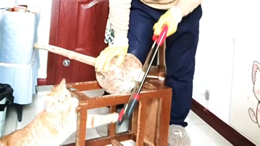 咪咪真是帮大忙了咪咪
