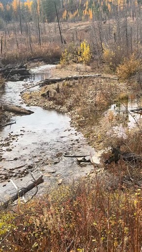 Wisdom from Above Where can wisdom be found, is it lost in the air? Among gold and jewels, or treasures so rare? The mountains may whisper, the oceans might call, But the path to true wisdom is a journey for all. Deep in the earth, miners search for their gain, Yet wisdom eludes them like a dream. It’s not in the riches or the wealth we can hold, But in knowing our hearts and the truths to be told. The fear of the Lord is the key to it all, To turn from what’s wicked, to answer the call. With in