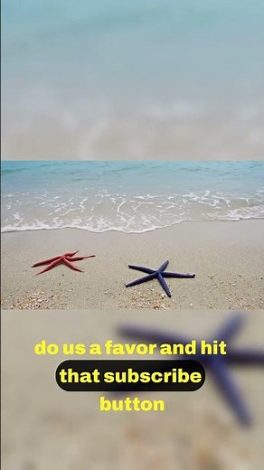 Astounding Defense Mechanisms of Sea Stars 🛡️