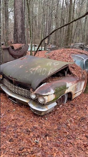 ABANDONED CADILLAC IN WOODS #automobile #automotive #abandoned #classiccar #car #explore #urbex #fyp