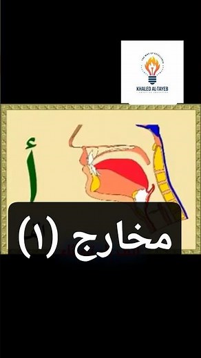 🎙️ تعلم مخارج الحروف بالصوت والصورة: شاهد الفرق بنفسك! 🔠📽️|متعة التعلم