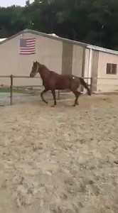 5.3K views · 172 reactions | Here's #141 | CHW Network | Facebook