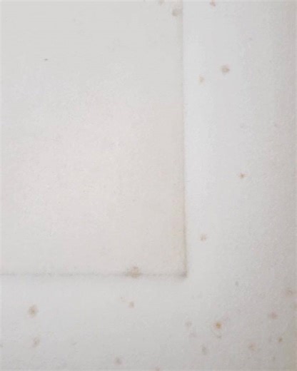 Removing these unwanted brown spots, otherwise known as FOXING! This type of foxing is growth of mildew caused by being exposed to excessive moisture or humidity. To prevent this from happening it is important to keep the area as dry as possible. Kitchens and bathrooms are not ideal for works on paper to be hung. #foxing #mildew #paper #workonpaper #paperconservation #holstfineart | Holst Fine Art Conservation