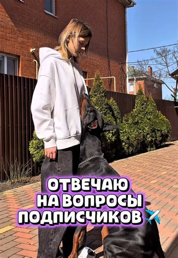 Gray but Black: A Q&A Session