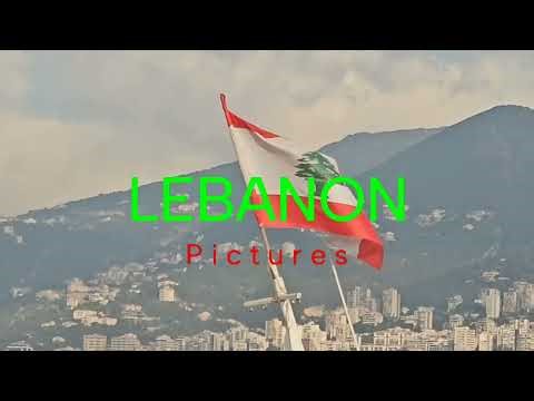 My Company Logos for GoAnimate/VYOND (Wrapper Offline) Movies