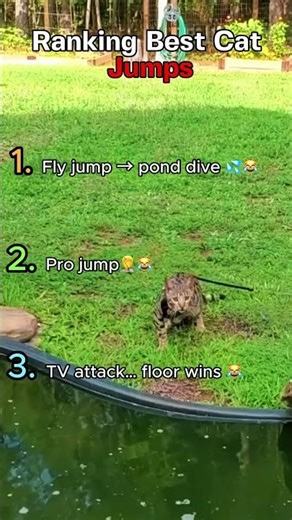 COMMENT THE FUNNIEST JUMP 🔥😹