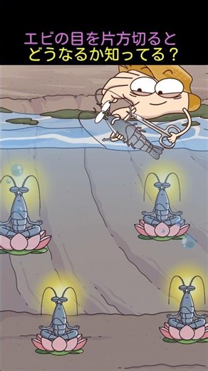 エビの目を片方切るとどうなるか知ってる？