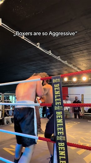 Are Boxers Really Aggressive? Examining Boxer Personality and Behavior