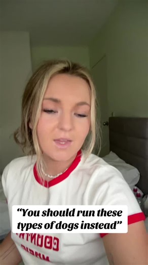 Understanding Hound Breeds for Hunting