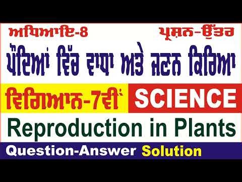 Class 7 Science | Chapter 8 | ਪੌਦਿਆਂ ਵਿੱਚ ਵਾਧਾ ਅਤੇ ਜਣਨ ਕਿਰਿਆ | Questions Answers and Exercise #pseb