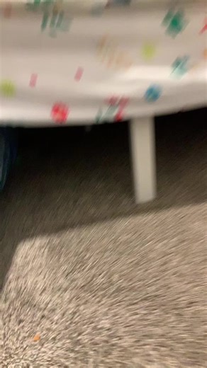 #fypシ゚viral🖤tiktok #animal #ferret #playful #exotic_anomalies | Ferrets Of TikTok