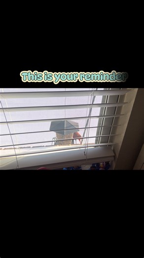 Often times, we think of learning as an action that is done during normal business hours. Monday through Friday. This is your reminder that kids are natural learners, and there are no set hours. Hang a bird feeder. Let them experiment. Let them observe. Learning happens all the time if you let it! #homeschool #bird #cardinal #learning #science