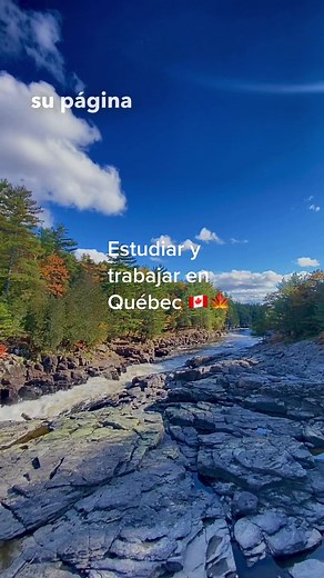 Deseas estudiar , trabajar, visitar o combinar estudios y trabajo en esta hermosa provincia ? y además si cumples los requisitos después obtener una residencia permanente? 🇨🇦 Tu puedes comenzar tu proceso siguiendo los pasos descargando los formularios gratis en su pagina oficial quebec.ca y buscas immigration 🇨🇦✅ . . . . . #estudiaenquebec #latinosenquebec #emigrargratisacanada #emigraracanada #trabajosencanada #emigrarsinfrances #estudiarfrancesgratis #emigrarenfamilia #visadetrabajo #perm