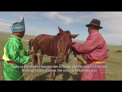 Хурдан морь сойх, уралдуулах мэдлэг