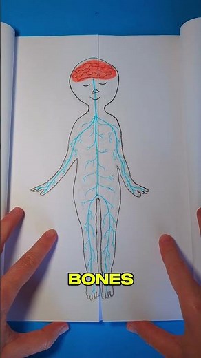 Explore My Body: A Fun DIY Adventure! 🎉🧠