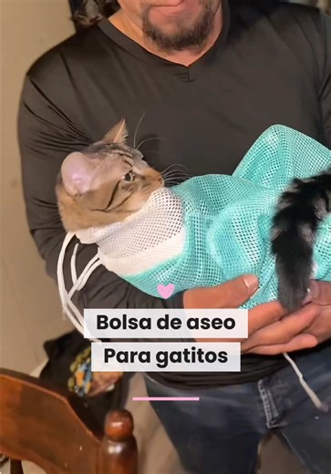 The Ultimate Guide to Cat Bathing and Grooming