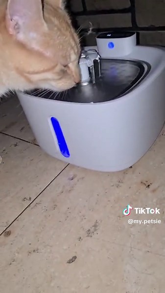 Fountain Inteligente para Gatos y Perros - 3.2L