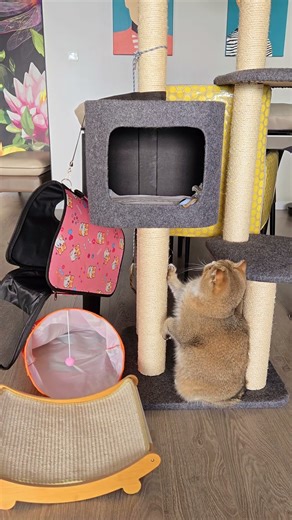 This is my bedroom, Alien! Get out !!!