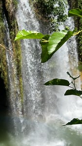 Waterfall, River, Flow. Free Stock Video