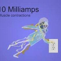 Electrical Safety Precautions and Basic Equipment