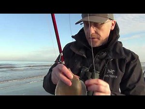 UK Sea Fishing - North Wales Winter Shore Fishing from a Beach for Flatfish