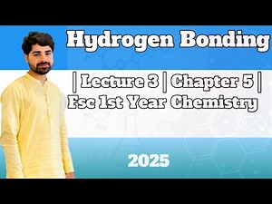 Hydrogen Bonding | Lecture 3 | Chapter 5 | FSc 1st Year Chemistry