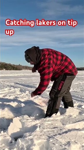 Catching lake trout on a tip up #fishing #fishing
