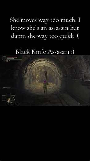 That is all for today, I have more, a lot more but now I have to no hit a certain someone but eventually i’ll get there on the posts, that depends on whether I can no hit him fast enough which I may but idk :) #eldenring #eldenringboss