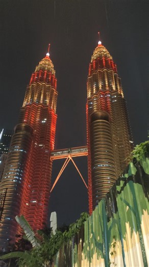 Malaysia Twin Tower night view #malaysia #twintowers #tourism