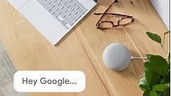 Learn how Google devices work together.