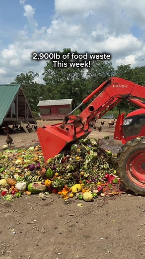 #regenerativeagriculture #regenerativefarming #foryoupage #savingfoodwaste #regenerativegardening