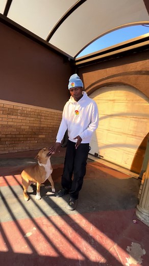 Teach Your Pitbull to Bring Its Water Plate Home