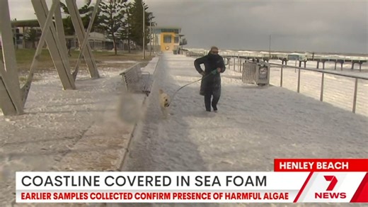 Adelaide beaches have been reserved for the brave where strong winds whipped sea foam as far as the eye could see including at Henley Beach. Download the 7NEWS app: https://7news.link/7NEWSapp #7NEWS | 7NEWS Adelaide