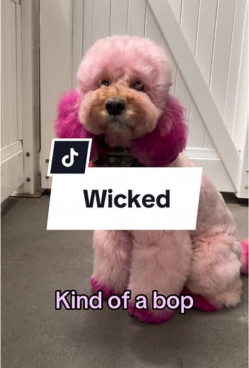 Mishka & Nyxie: Besties in Wicked Adventures